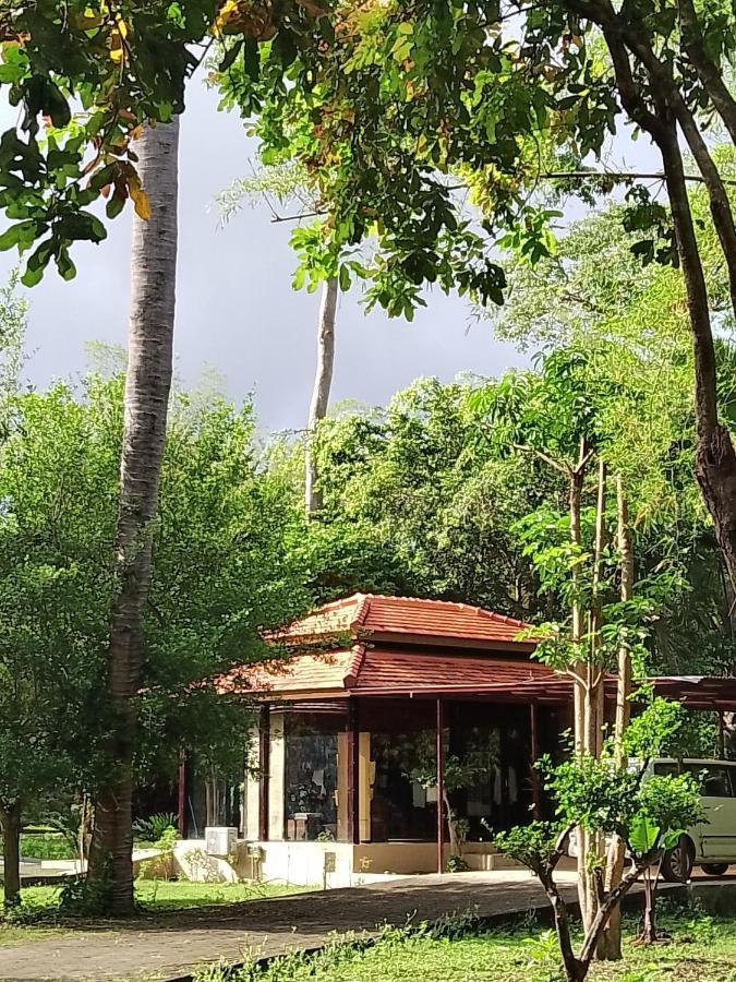 Jawa Jiwa G-Land Resort Dadapan Extérieur photo