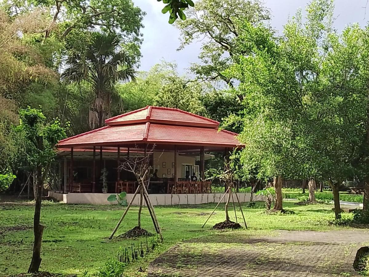 Jawa Jiwa G-Land Resort Dadapan Extérieur photo
