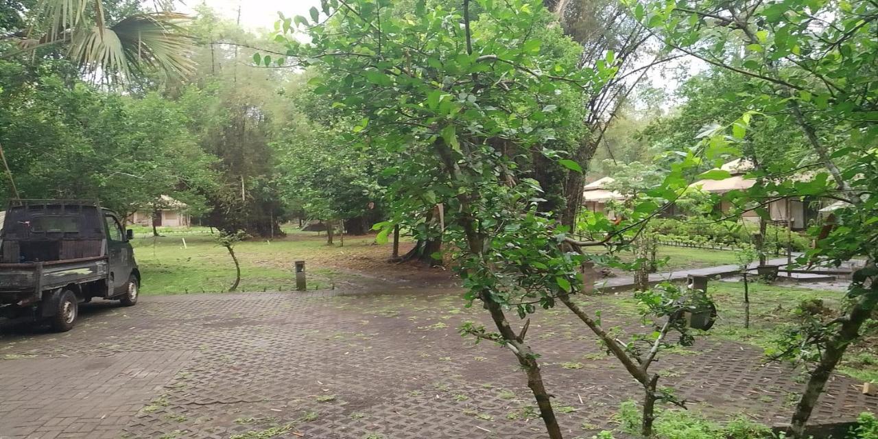 Jawa Jiwa G-Land Resort Dadapan Extérieur photo